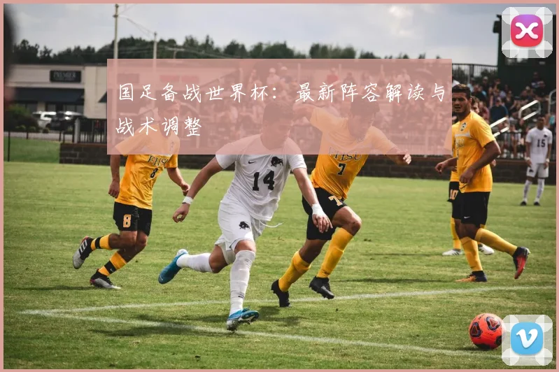 国足备战世界杯:最新阵容解读与战术调整