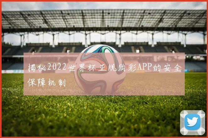 揭秘2022世界杯正规购彩APP的安全保障机制